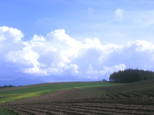 夏の北海道