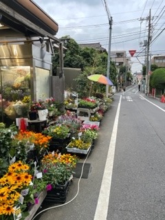 花屋さん
