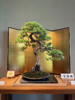 盆栽