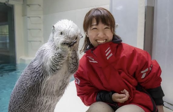 鳥羽水族館ラッコと飼育員