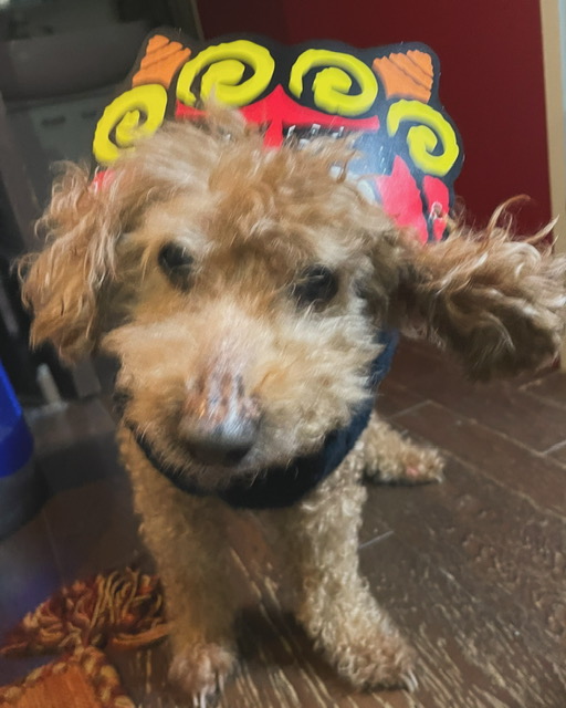 節分豆まきと鬼になった犬