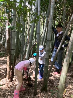 タケノコ狩り